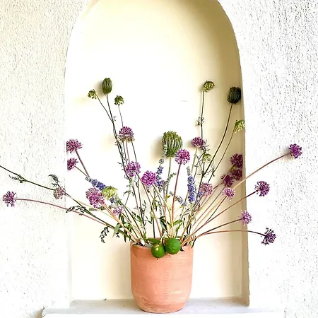 Gaea Rooted Within Holiday home Pylos