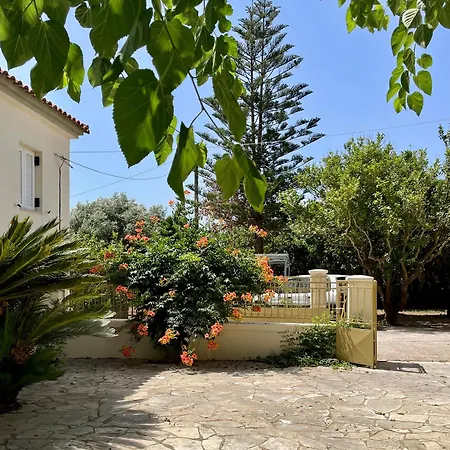 Gaea Rooted Within Holiday home Pylos
